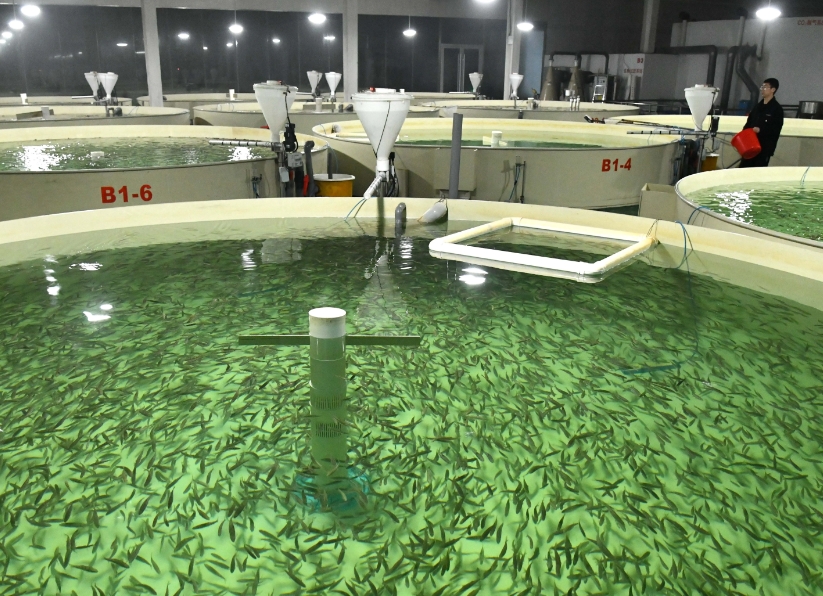 1750299199258008.png 1750299199258008.png