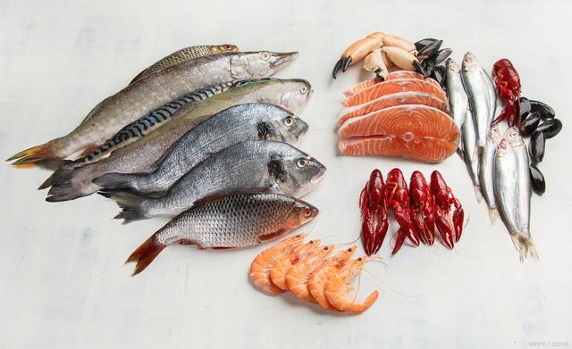 1758855557547116.jpeg 水產(chǎn)養(yǎng)殖.jpeg