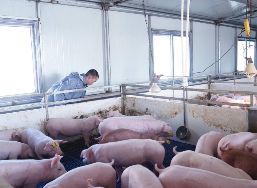 1760406017505295.jpg 1760406017505295.jpg