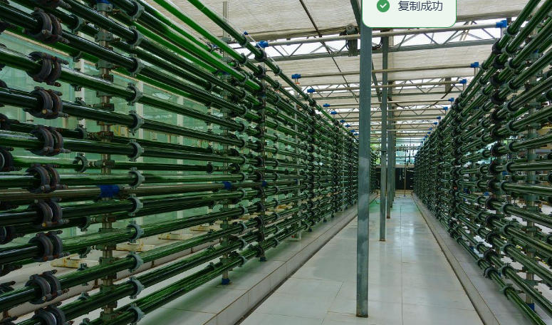 1761015337586038.jpg 1761015337586038.jpg