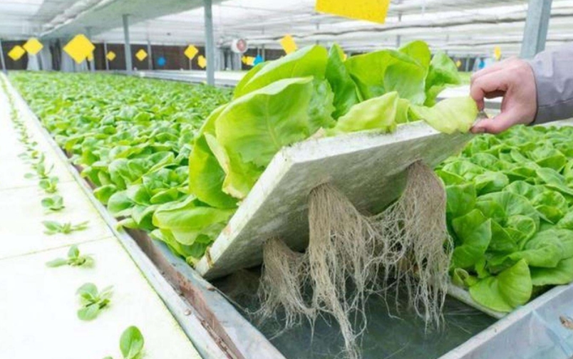 1761102548974809.jpg 1761102548974809.jpg