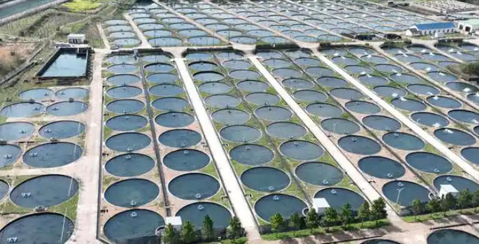 1761792997448696.jpg 海水淡化育苗.jpg