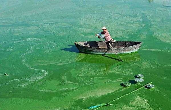 1764641101168962.jpg baa7b00dbf4abe2ffcc571fed43a09aa_1764554283710243.jpg