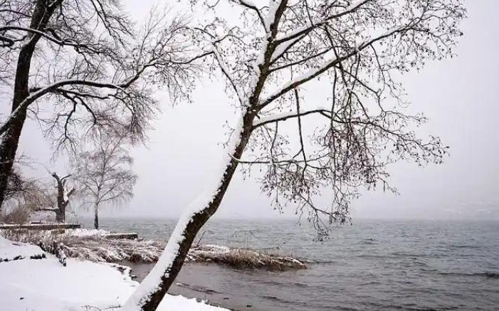 1767663691993424.jpg 下雪 .jpg